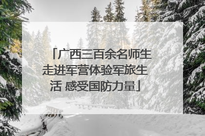 广西三百余名师生走进军营体验军旅生活 感受国防力量
