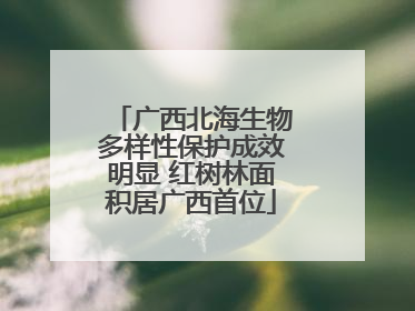 广西北海生物多样性保护成效明显 红树林面积居广西首位