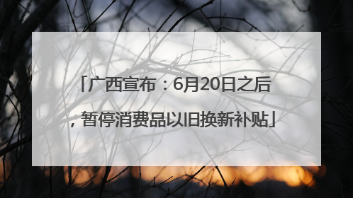 广西宣布：6月20日之后，暂停消费品以旧换新补贴