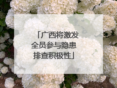 广西将激发全员参与隐患排查积极性