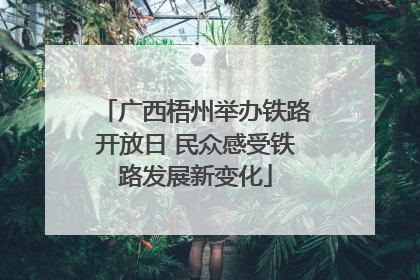 广西梧州举办铁路开放日 民众感受铁路发展新变化