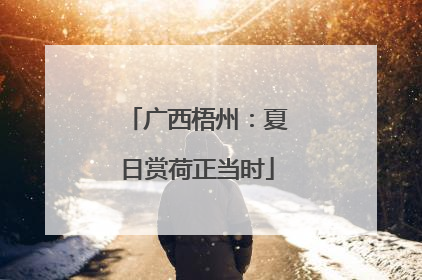 广西梧州：夏日赏荷正当时