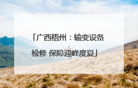 广西梧州：输变设备检修 保障迎峰度夏