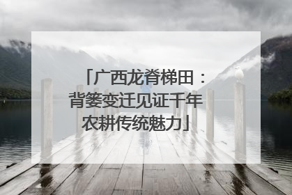 广西龙脊梯田：背篓变迁见证千年农耕传统魅力