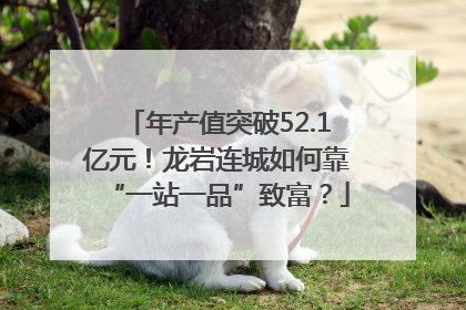 年产值突破52.1亿元！龙岩连城如何靠“一站一品”致富？