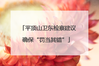 平顶山卫东检察建议确保“罚当其错”