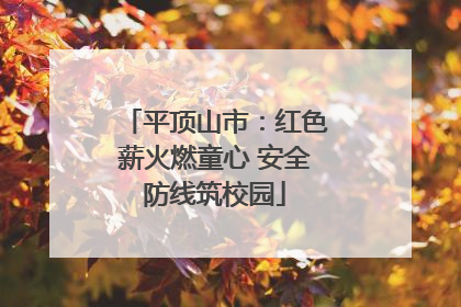 平顶山市：红色薪火燃童心 安全防线筑校园