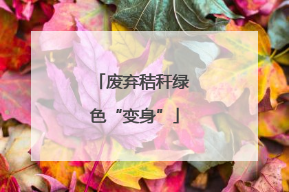 废弃秸秆绿色“变身”