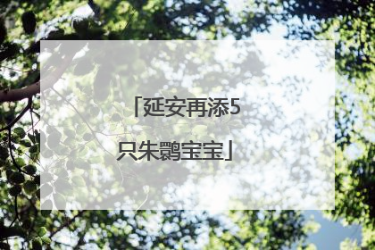 延安再添5只朱鹮宝宝