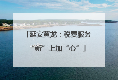 延安黄龙：税费服务“新”上加“心”
