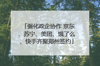 强化政企协作 京东、苏宁、美团、饿了么、快手齐聚郑州签约