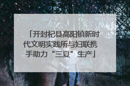 开封杞县高阳镇新时代文明实践所与妇联携手助力“三夏”生产