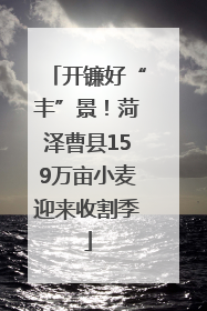 开镰好“丰”景！菏泽曹县159万亩小麦迎来收割季