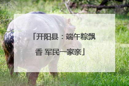 开阳县：端午粽飘香 军民一家亲