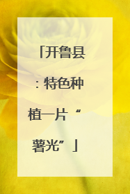 开鲁县：特色种植一片“薯光”