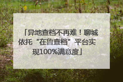 异地查档不再难！聊城依托“在鲁查档”平台实现100%满意度