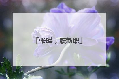 张瑾，履新职
