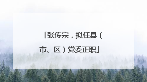 张传宗，拟任县（市、区）党委正职