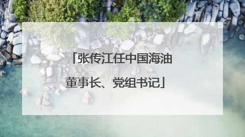 张传江任中国海油董事长、党组书记