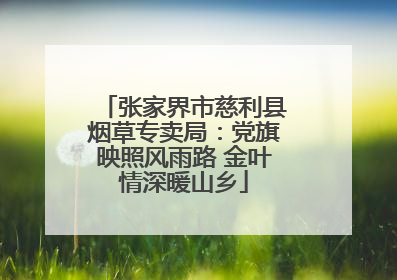 张家界市慈利县烟草专卖局：党旗映照风雨路 金叶情深暖山乡
