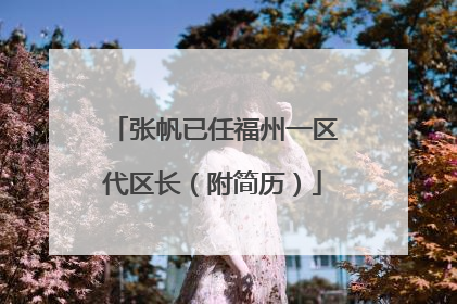 张帆已任福州一区代区长（附简历）