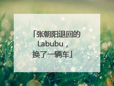 张朝阳退回的Labubu，换了一辆车