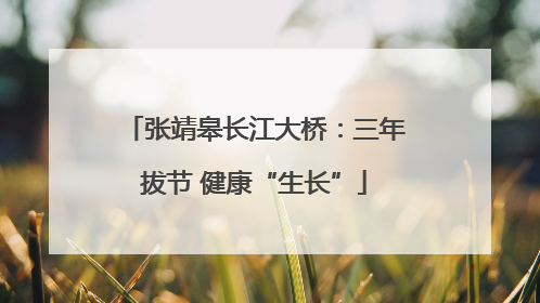 张靖皋长江大桥：三年拔节 健康“生长”