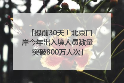 提前30天！北京口岸今年出入境人员数量突破800万人次