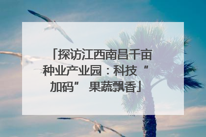 探访江西南昌千亩种业产业园：科技“加码” 果蔬飘香