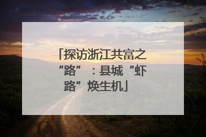 探访浙江共富之“路”：县城“虾路”焕生机
