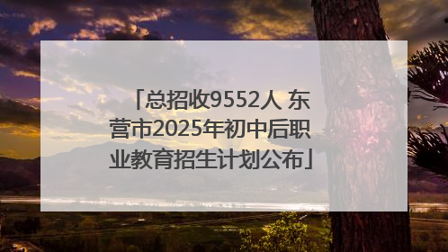 总招收9552人 东营市2025年初中后职业教育招生计划公布