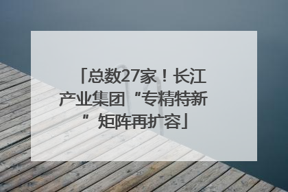总数27家！长江产业集团“专精特新”矩阵再扩容