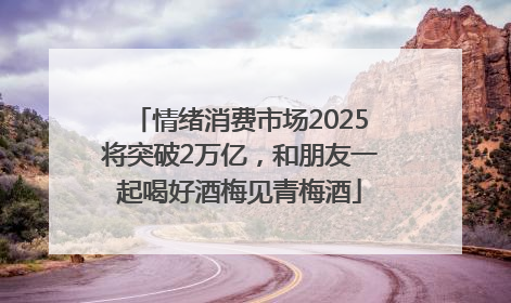 情绪消费市场2025将突破2万亿，和朋友一起喝好酒梅见青梅酒