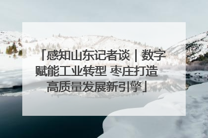 感知山东记者谈｜数字赋能工业转型 枣庄打造高质量发展新引擎