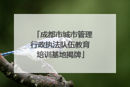 成都市城市管理行政执法队伍教育培训基地揭牌