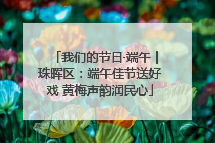 我们的节日·端午｜珠晖区：端午佳节送好戏 黄梅声韵润民心