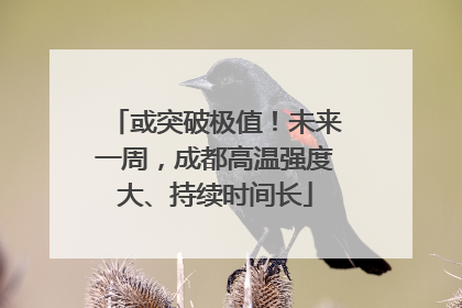 或突破极值！未来一周，成都高温强度大、持续时间长