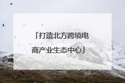 打造北方跨境电商产业生态中心
