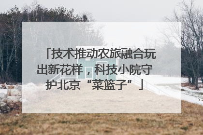 技术推动农旅融合玩出新花样，科技小院守护北京“菜篮子”