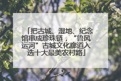 把古城、湿地、纪念馆串成珍珠链，“鲁风运河”古城文化廊道入选十大最美农村路