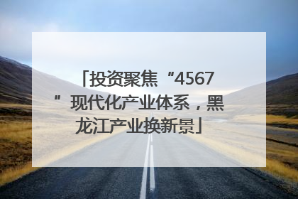 投资聚焦“4567”现代化产业体系，黑龙江产业换新景
