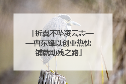 折翼不坠凌云志——曹东锋以创业热忱铺就助残之路