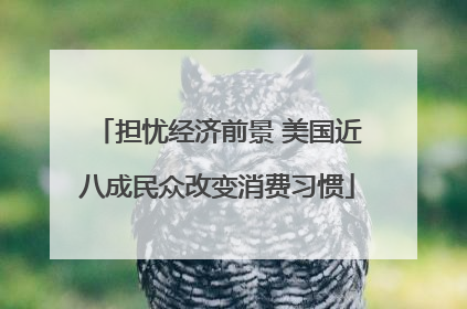 担忧经济前景 美国近八成民众改变消费习惯