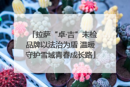 拉萨“卓·吉”未检品牌以法治为盾 温暖守护雪域青春成长路