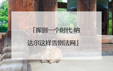 挥别一个时代 纳达尔这样告别法网