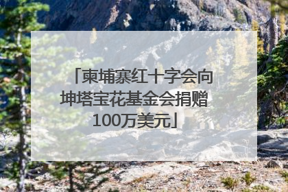 柬埔寨红十字会向坤塔宝花基金会捐赠100万美元