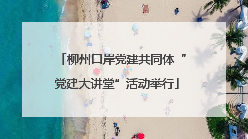 柳州口岸党建共同体“党建大讲堂”活动举行