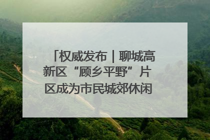 权威发布｜聊城高新区“顾乡平野”片区成为市民城郊休闲全新目的地