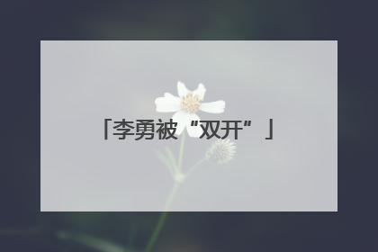 李勇被“双开”