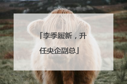 李季履新，升任央企副总
